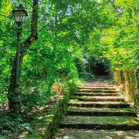 Stunning In With Wifi *