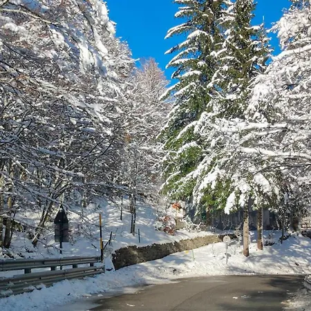 Stunning In With Wifi Διαμέρισμα Fiumalbo