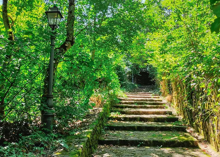 Stunning In With Wifi *