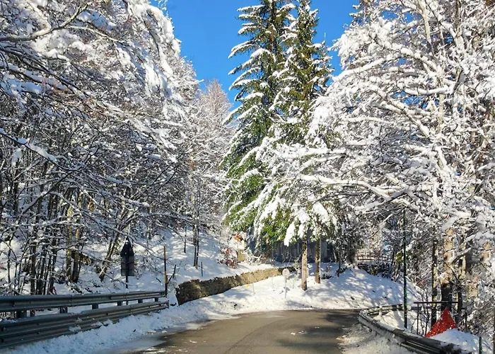 Stunning In With Wifi * フィウマルボ